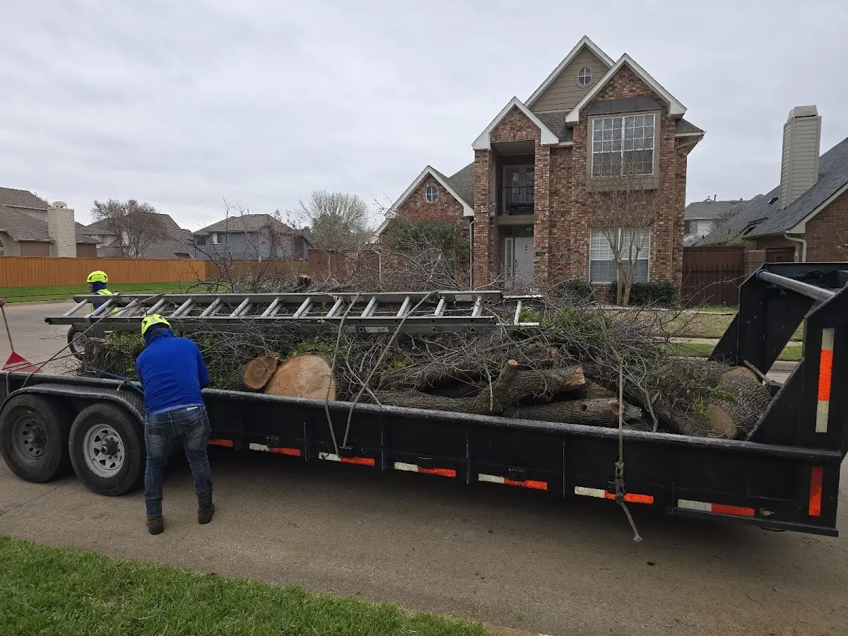 Expert Tree Pest Control with proper safety equipment in East Spencer